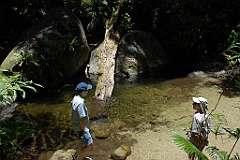 0991 Mossman Gorge